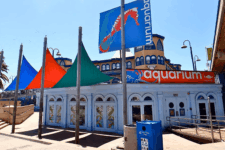 Exterior view of an aquarium building with white arched windows, bold orange sign, and colorful sail shade structures on a sunny day.