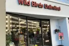 wild-birdds