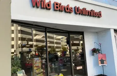 wild-birdds