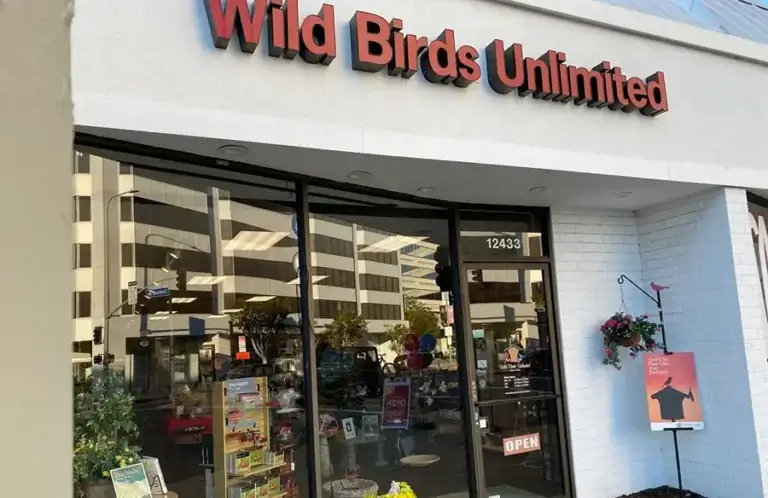 wild-birdds