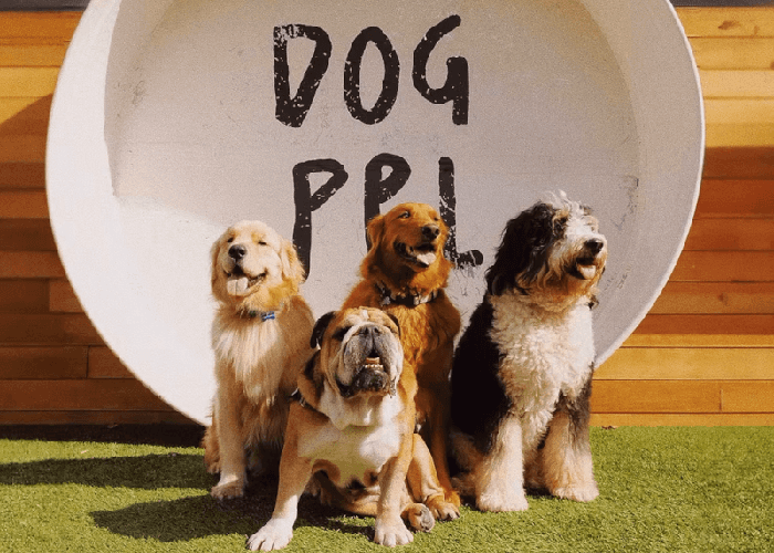 Dog People Santa Monica