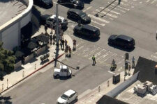 Ariel view above an intersection shows streets closed as local authorities search for a mountain lion in Santa Monica.