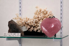 Wonders of the World artifacts 2 | Santa Monica Sun Fossil rock labeled '450 million year old fossil sea lily crinoid' next to a pink heart-shaped crystal on a glass shelf.