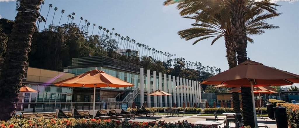 Outdoor plaza with orange umbrellas, lounge chairs, and tall palm trees in front of a modern glass-front building.