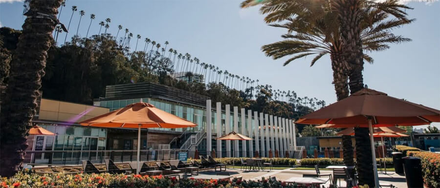 Outdoor plaza with orange umbrellas, lounge chairs, and tall palm trees in front of a modern glass-front building.