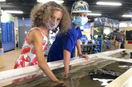 Two kids wearing masks lean over a touch tank, touching the shallow water at an aquarium exhibit.