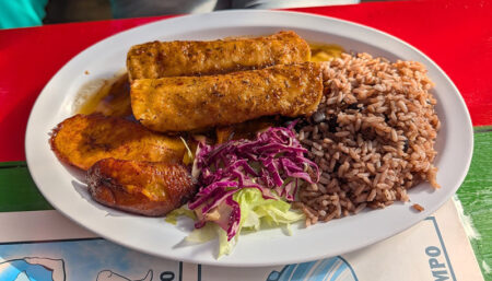 Plate with two fried taquitos, fried plantains, brown rice, and shredded purple cabbage salad on the side.