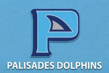 Palisades Dolphins logo: blue stylized 'P' with a dolphin silhouette and the white team name on a blue background.