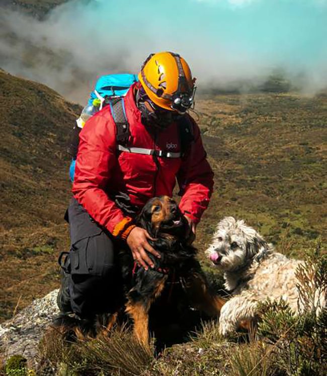 Individual in a red jacket and yellow helmet kneels on a rocky mountain with two dogs, a black-brown and a white dog, near rugged terrain and misty blue sky behind.